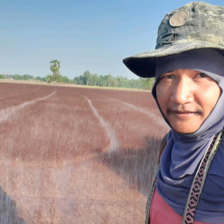 ตาเปิ้ล เดินการเกษตร