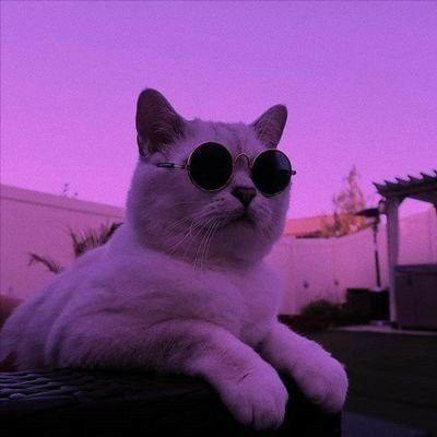 MrClips