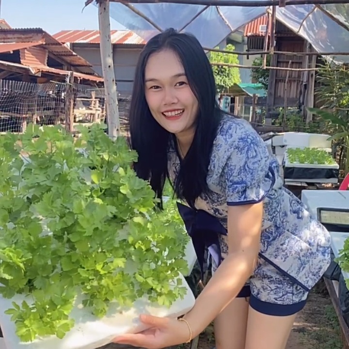 ฟาร์มสุขของปิมปิม
