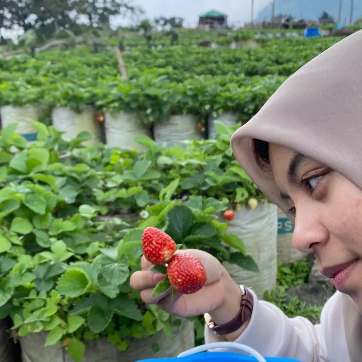 Sarah Kuliner Madiun