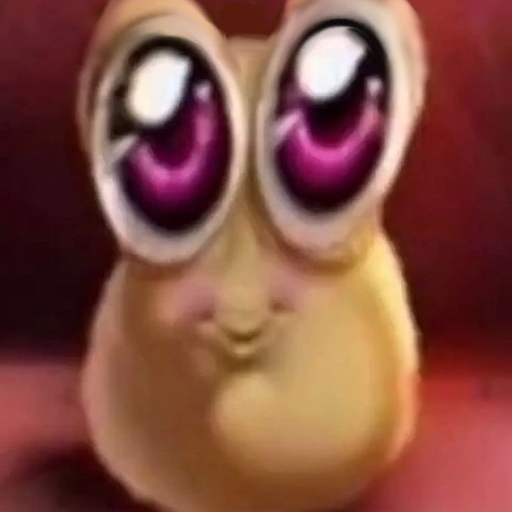 chrysgvn
