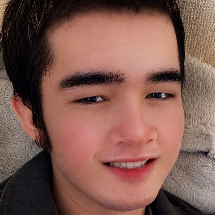レオ🇧🇷🇻🇳