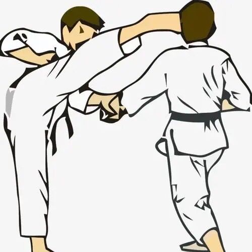 Fighting_kongfu-box