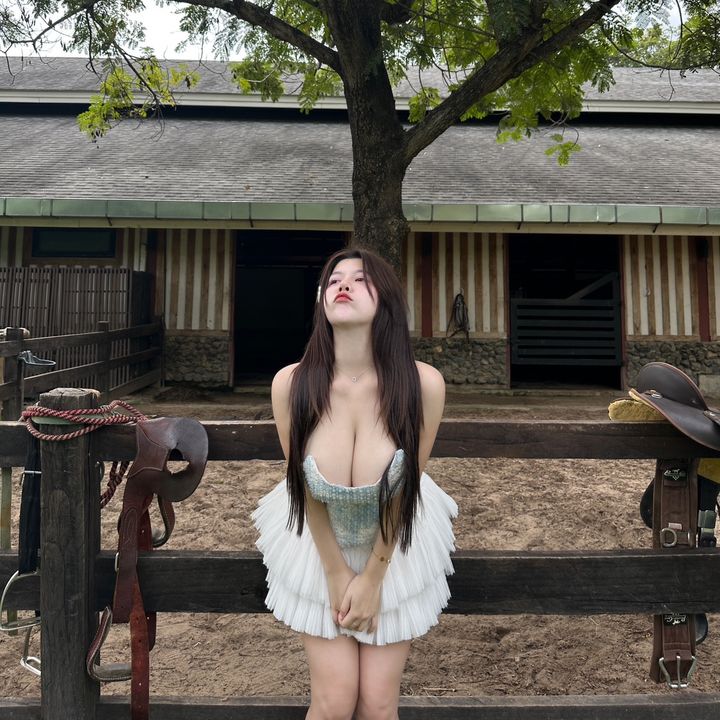 ซินยอเพื่อนเรียกหมูยอ