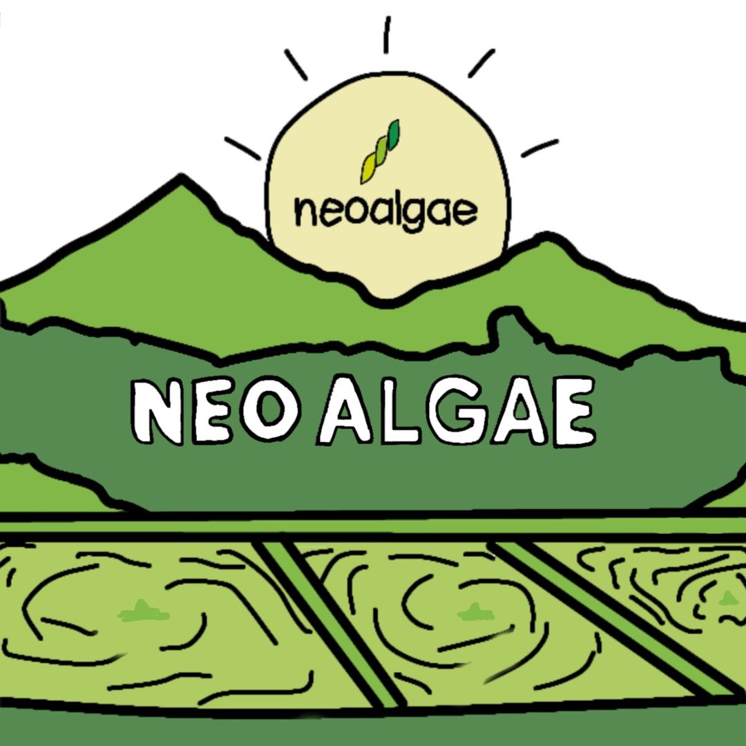 Neoalgae Official Store