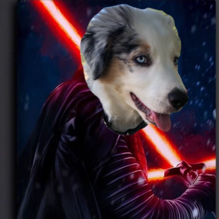 That_Aussie_Kylo