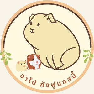อาโป กังฟูแกสบี้