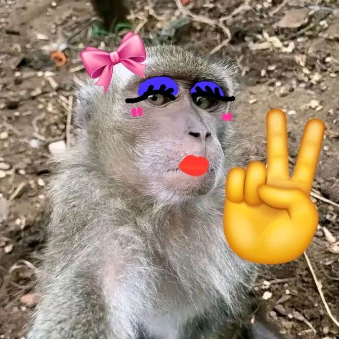 indiretas_anonimass