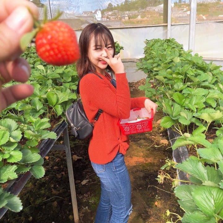 Dyn Dyn dịu dàng