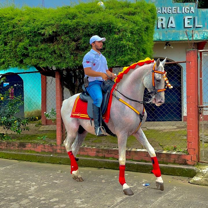 Fernando Motta