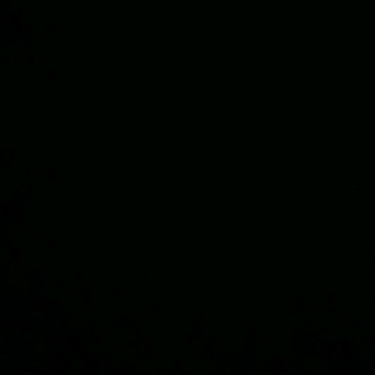 user_36401952
