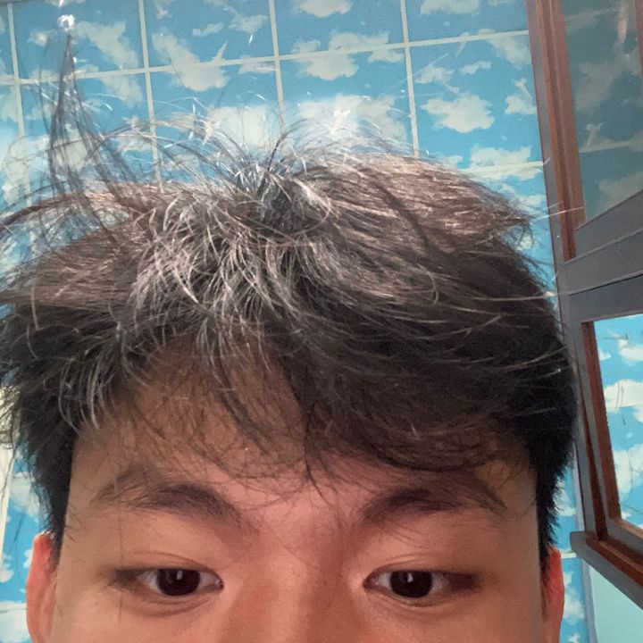 Tồi Vương