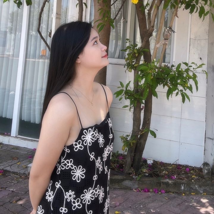 dudu.ql