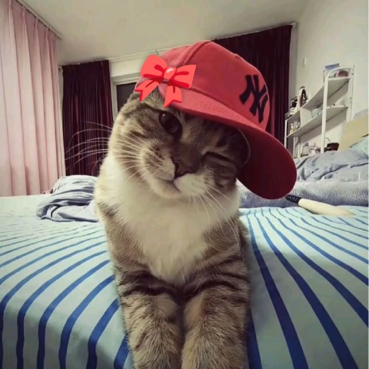 Biatriz