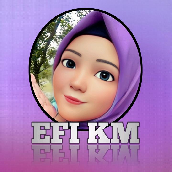efi km.store