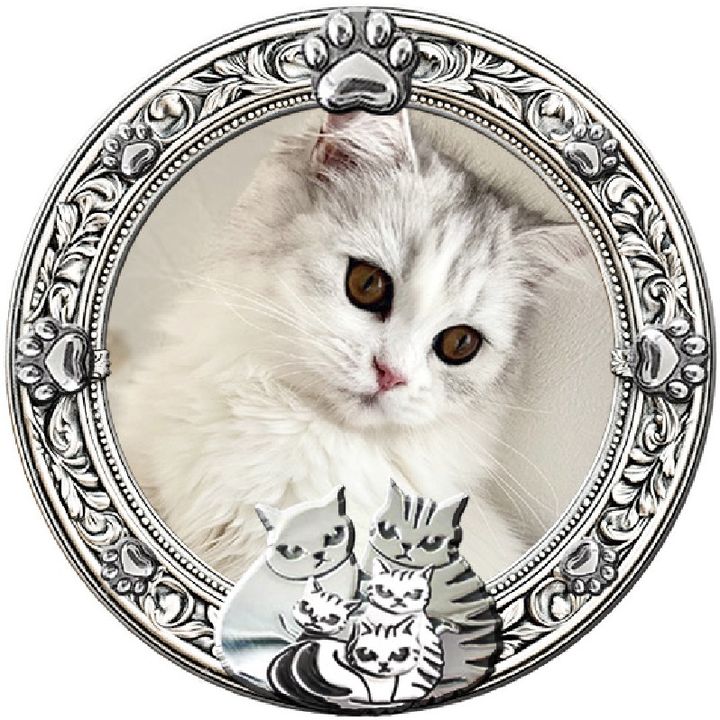 𝗜'𝗺 𝗖𝗮𝘁𝗺𝗮𝗻🐈