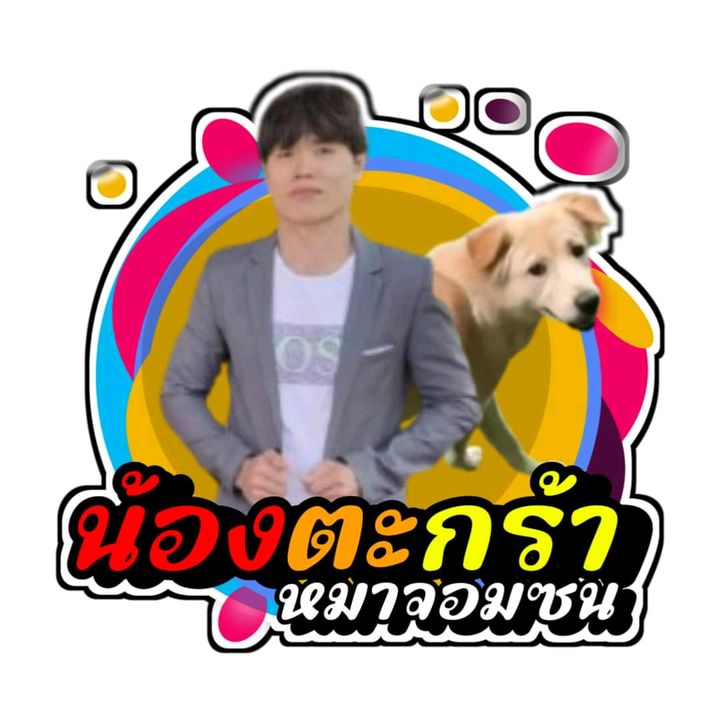 Liveสาระ น้องตะกร้าหมาจอมซน