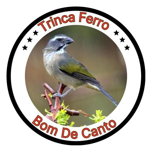 Trinca ferro Bom de Canto