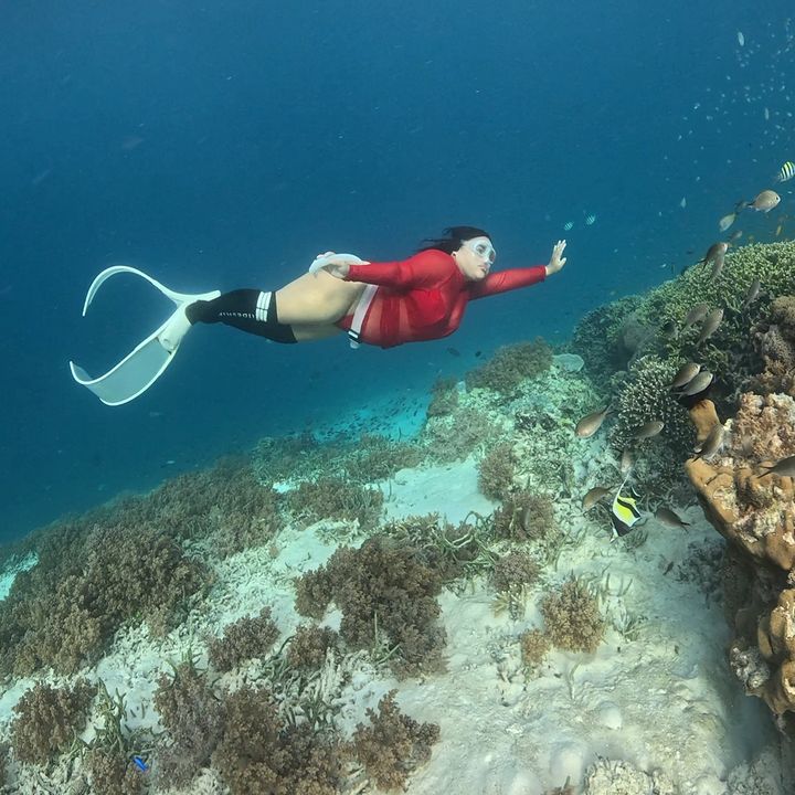 Godel nya gak ada ya