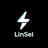 linselmx