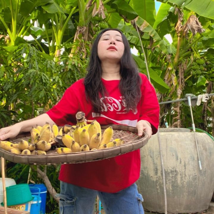 ถิงถิงแม่ค้าติ่งซีรี่ย์