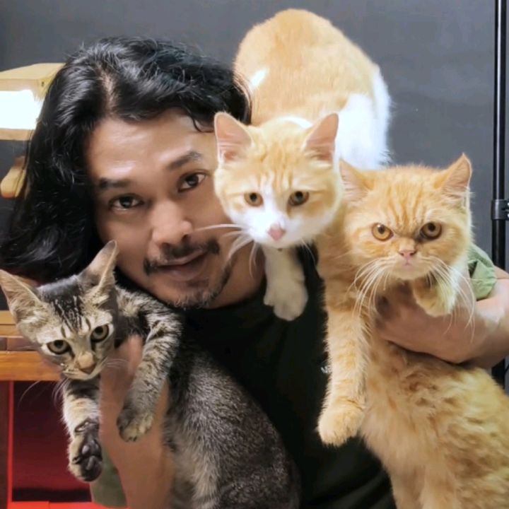 qin_and_smartcat