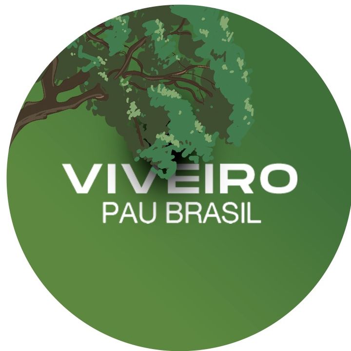 ViveiroPauBrasil