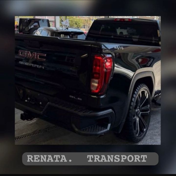 RENATA GERALDINE TRANSPORTES