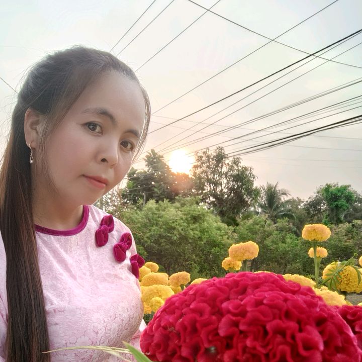 Mẹ quê  (Hồng Anh)64-71🌾🌾🌾?