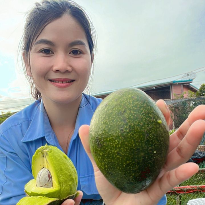seetong65