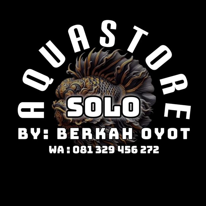 AQUASTORE SOLO