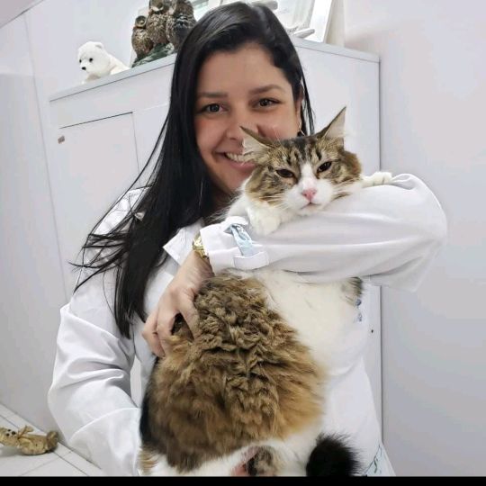 tatigrillo