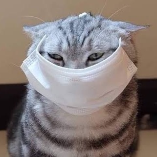 หาตังค์เปย์แมว😾😭