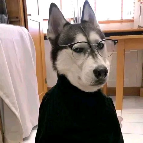 Dr.Maker