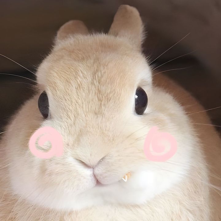 Bunnycutie