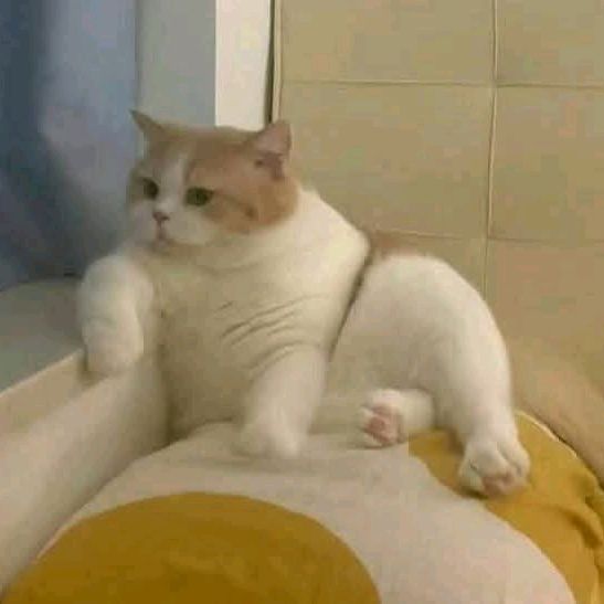 Typing......