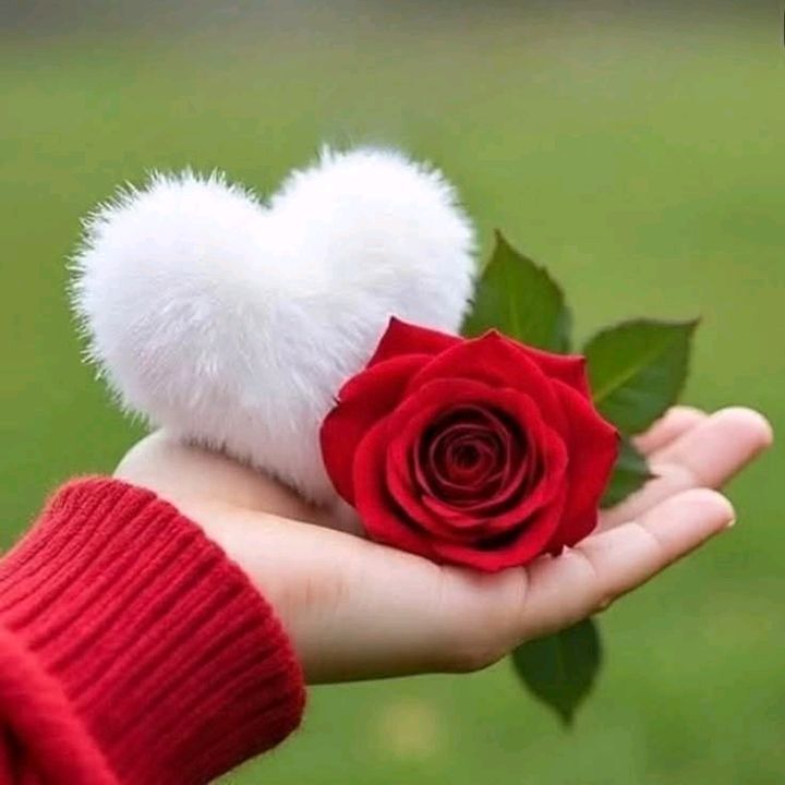cecy_lnn