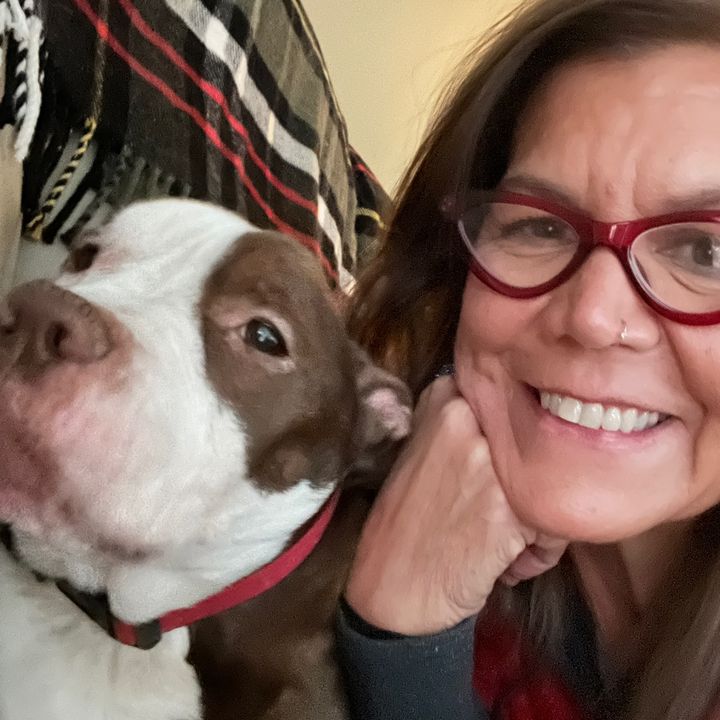 Maybelline the Pocket Pibble
