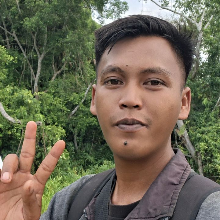 gajah liar | khafidin