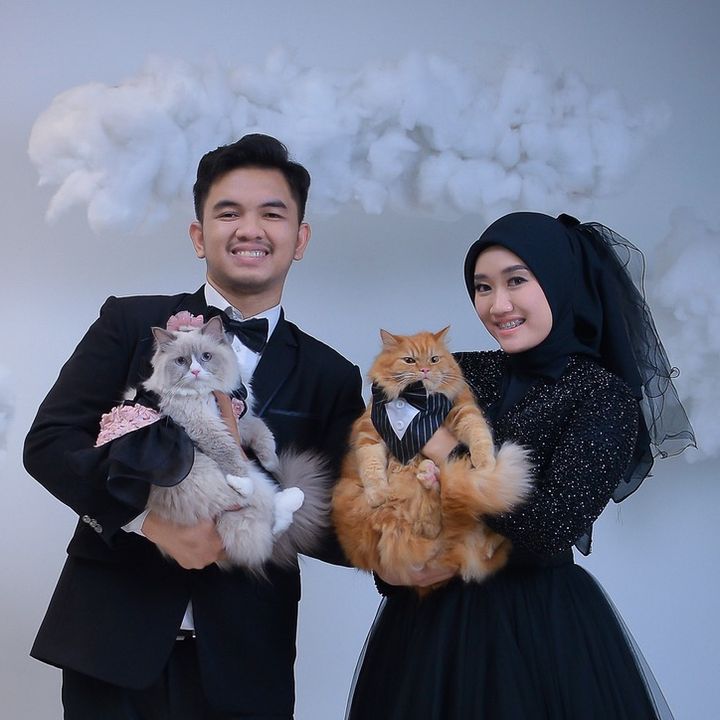Nalasicat