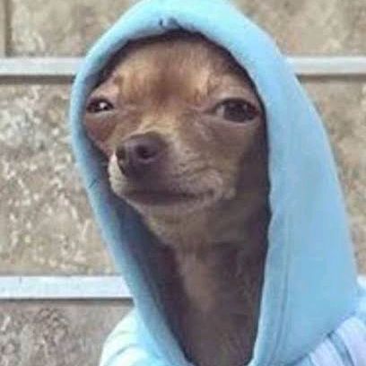 cachorrodosmemes