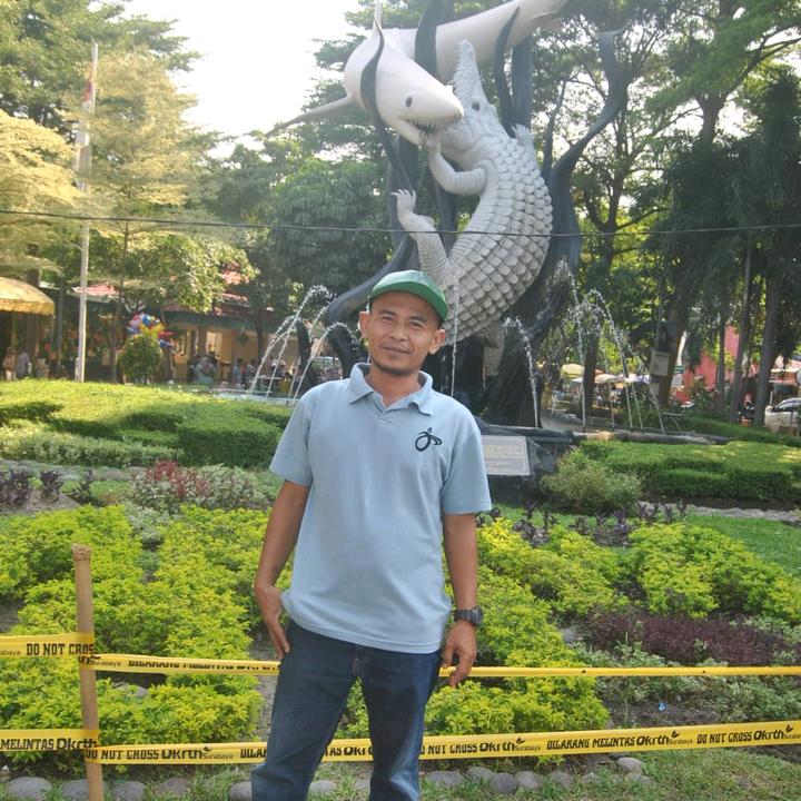 PALUGADA LANCAR JAYA