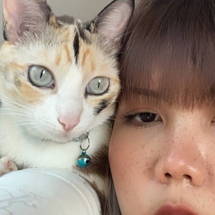fairycatspirit569