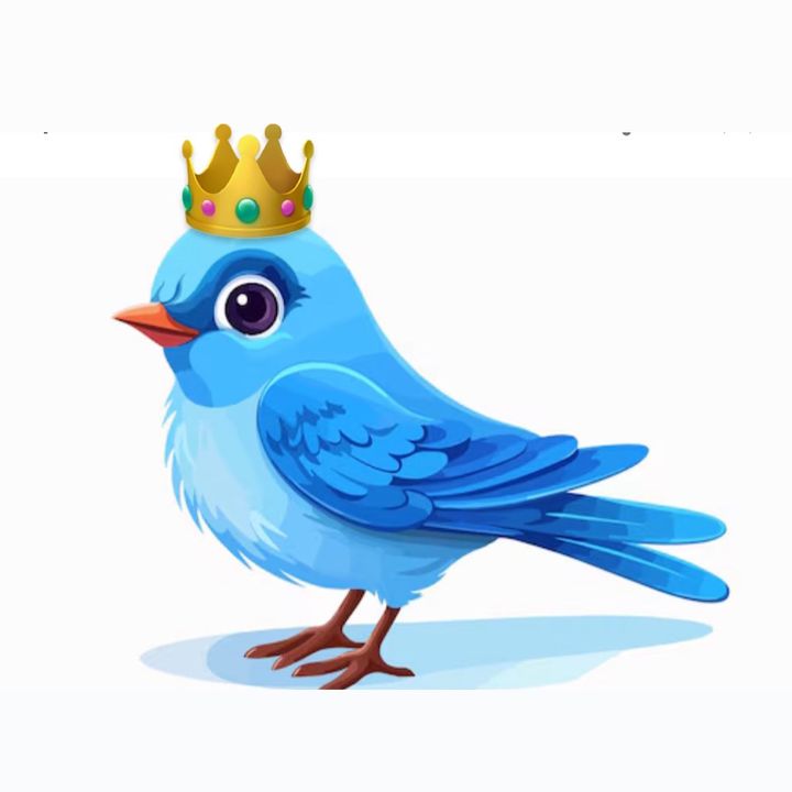 Manelyk🐦