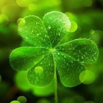 Shop Chuyên ốp lưng ĐT