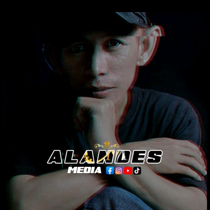 Alandesmedia