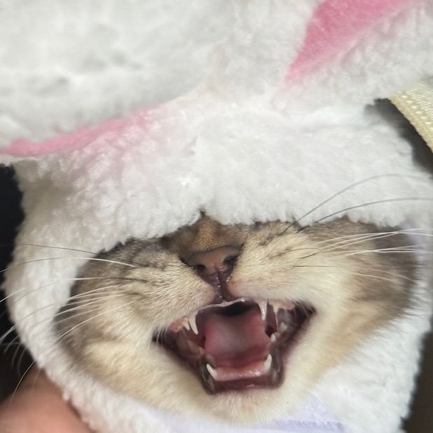 น๊องพิ๊งงง