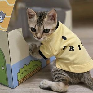 มีบุญ คนเก่ง🐱