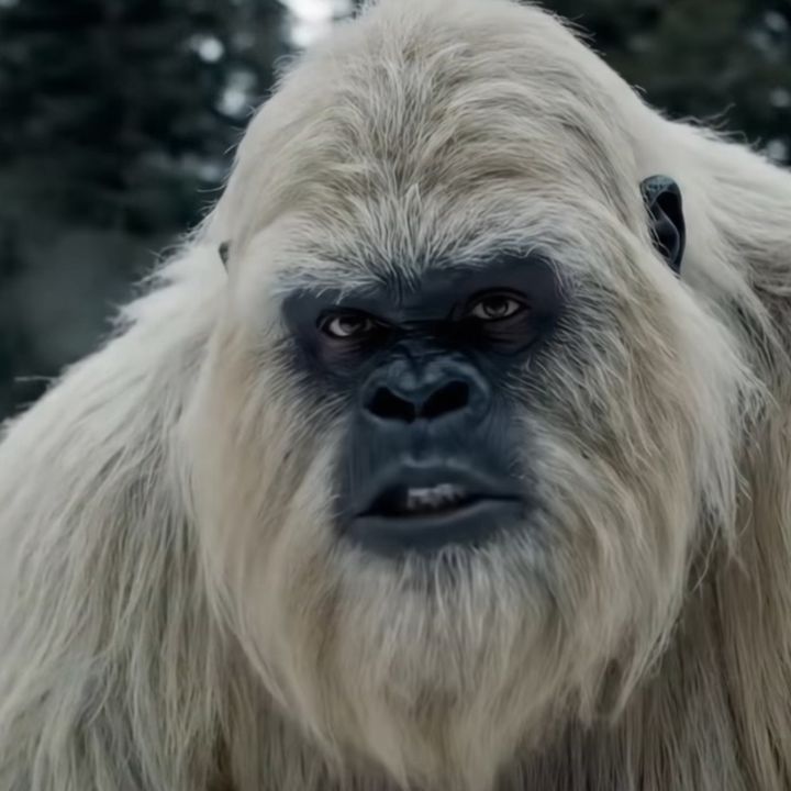 Yeti-Boo