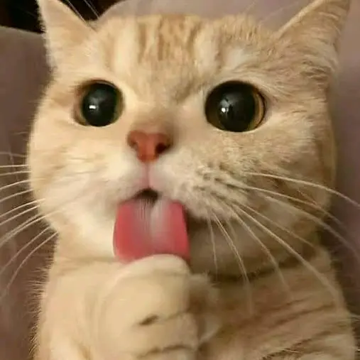 MAMA YEYE and BEBI KLAY